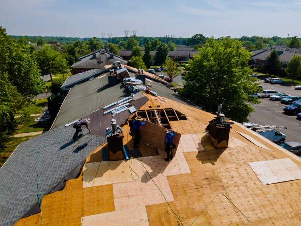 Roof Waterproofing Services in Pinewood Estates, TX