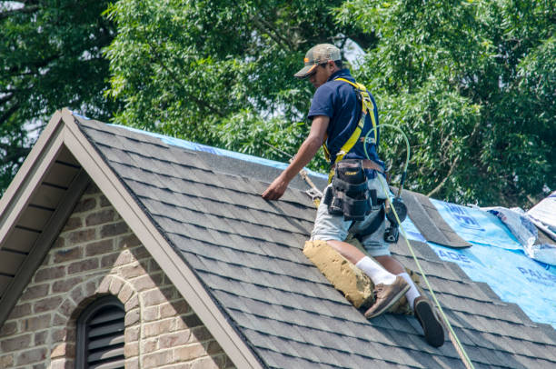 Quick and Trustworthy Emergency Roof Repair Services in Pinewood Estates, TX